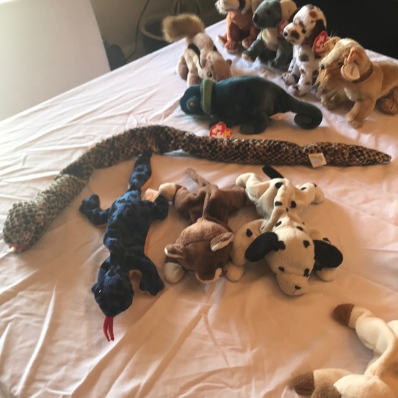 TY Beanie Baby Collection. - Picture 5 of 6